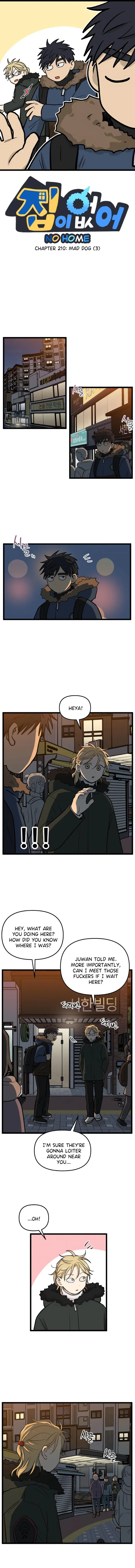 No Home Chapter 210 image 01_optimized